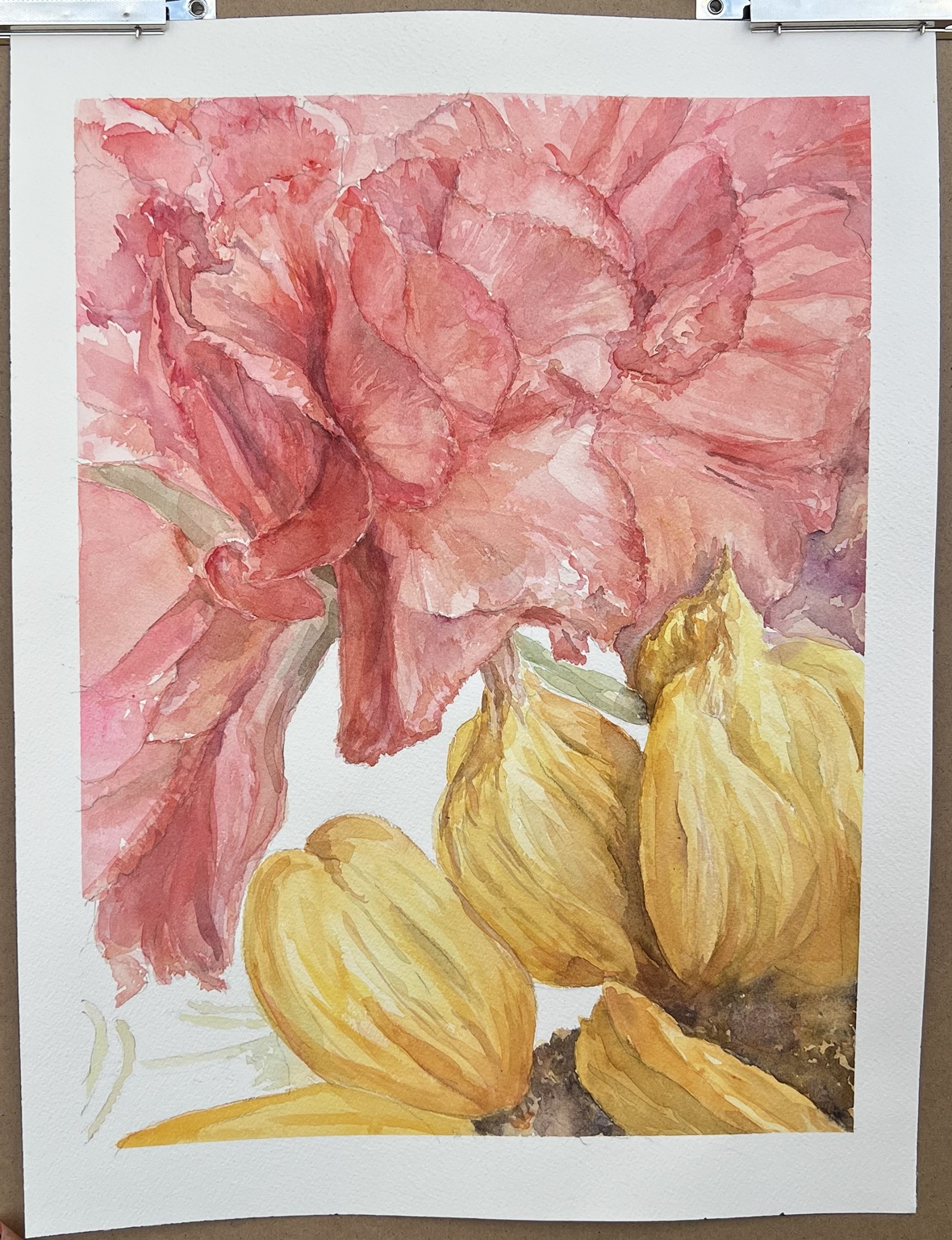 Watercolor of a coral-pink peony above pale yellow petals on cotton paper