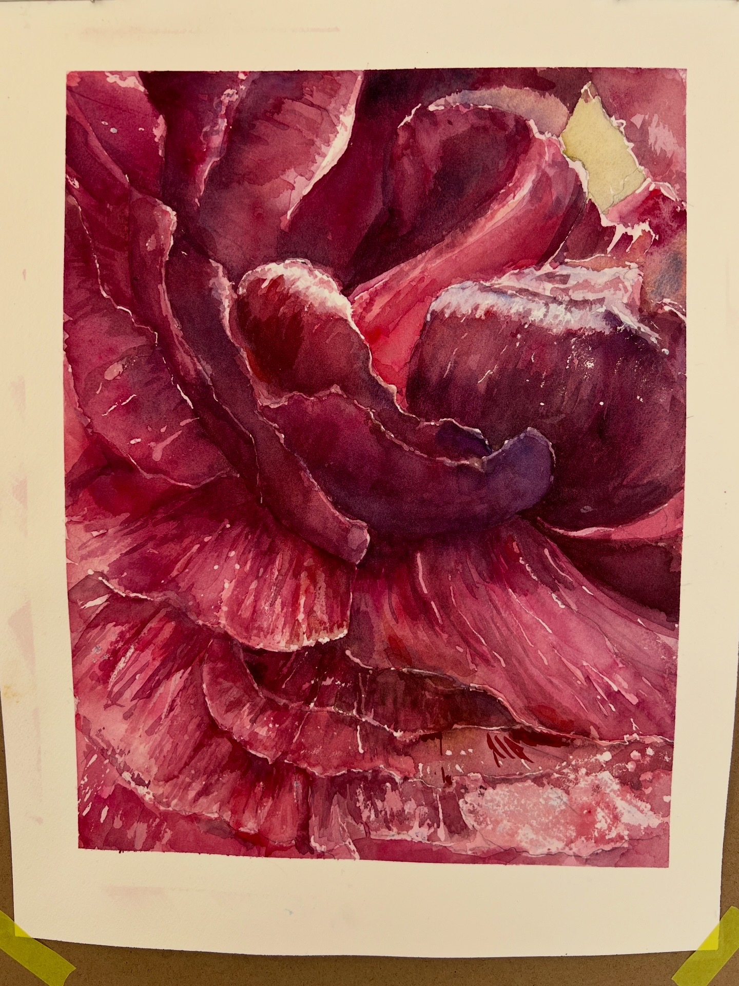 Watercolor of deep crimson and burgundy petals folding inward
